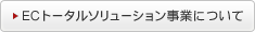 EC�g�[�^���\�����[�V�������Ƃɂ���