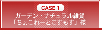 CASE1�@�K�[�f���E�i�`�������G�݁u���傱��[�Ƃ��������v�l