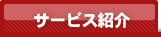 �T�[�r�X�Љ�